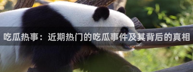 社会热点