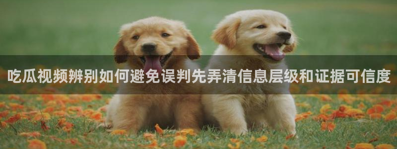 51吃瓜