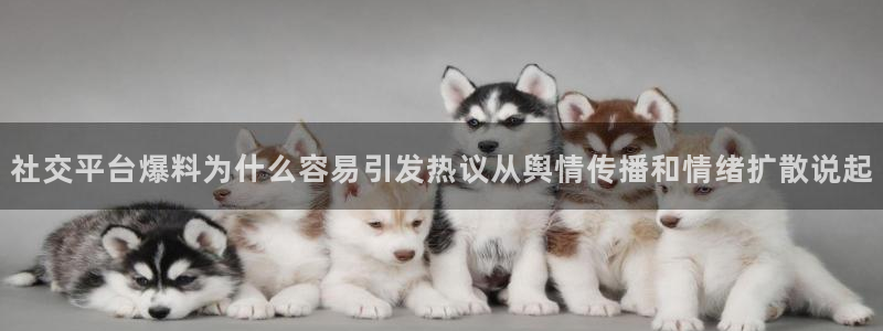 独家吃瓜热点汇总