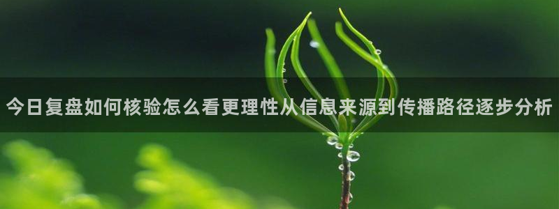 理性吃瓜信息核验