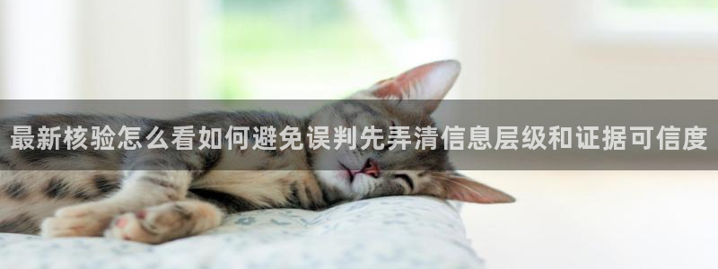 网红吃瓜来源梳理