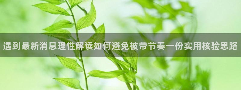 网红吃瓜信息核验