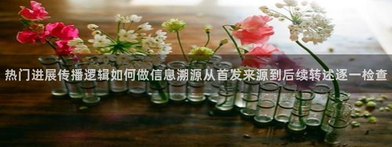 网络热点事件始末