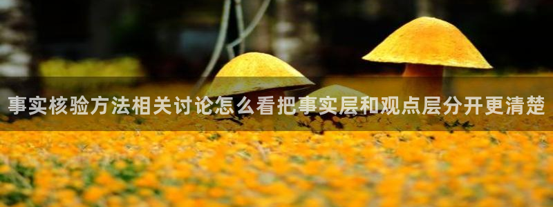 网络热点信息核验