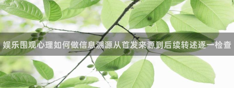 吃瓜今日更新