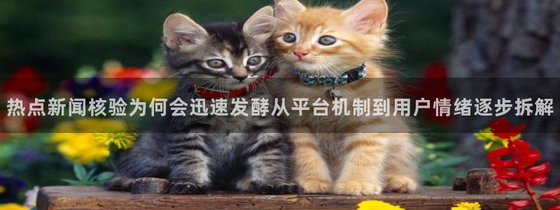 热门吃瓜原始出处