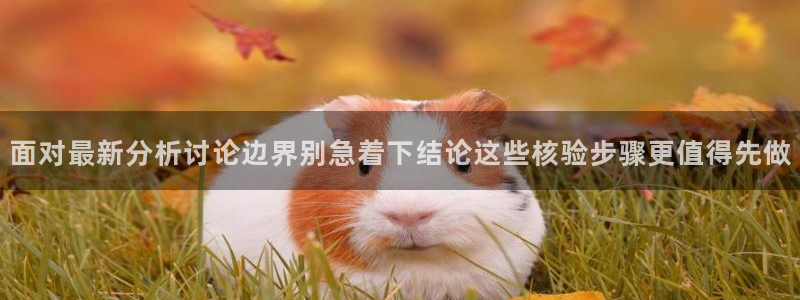 理性吃瓜完整时间线